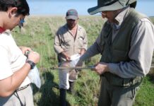 Manejo Holístico, cuando la gestión del pastoreo protege el suelo y aporta a mitigar el cambio climático