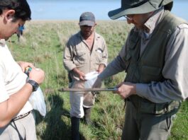 Manejo Holístico, cuando la gestión del pastoreo protege el suelo y aporta a mitigar el cambio climático