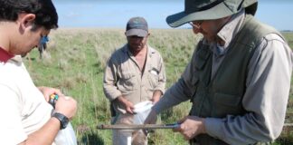 Manejo Holístico, cuando la gestión del pastoreo protege el suelo y aporta a mitigar el cambio climático