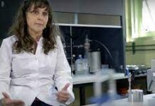 Entrevista a Fabiana Gennari sobre el hidrógeno verde  «Argentina cuenta con un gran potencial para producir energía limpia que Europa no tiene»