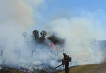 Ajustan metodología y precisan el área afectada por incendios en el área periurbana de Corrientes durante el 2020