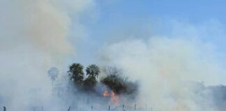 Ajustan metodología y precisan el área afectada por incendios en el área periurbana de Corrientes durante el 2020
