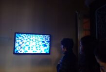 Centro Cultural Universitario Estos son los seleccionados de la edición aniversario Festival PLAY – videoarte y cine experimental – 2021