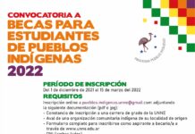 PROGRAMA PUEBLOS INDÍGENAS UNNE Convocatoria 2022: becas para estudiantes de pueblos indígenas