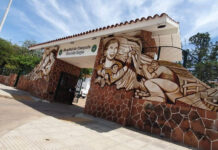 REVISTA ADNEA Hospital de Campaña de Corrientes, un caso singular dentro de las respuestas sanitarias frente a la pandemia