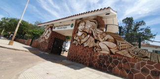 REVISTA ADNEA Hospital de Campaña de Corrientes, un caso singular dentro de las respuestas sanitarias frente a la pandemia