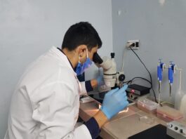 Aprueban 74 nuevos proyectos de investigación a realizarse en la UNNE