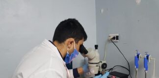 Aprueban 74 nuevos proyectos de investigación a realizarse en la UNNE