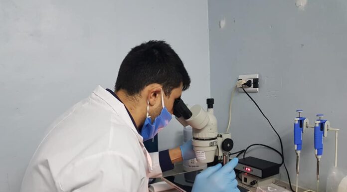 Aprueban 74 nuevos proyectos de investigación a realizarse en la UNNE