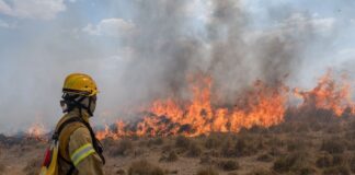 EXTENSIÓN, CIENCIA Y CONOCIMIENTO AL SERVICIO DE LA REGIÓN Incendios en Corrientes: en la UNNE se reciben donaciones para bomberos