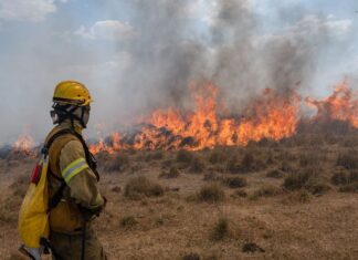 EXTENSIÓN, CIENCIA Y CONOCIMIENTO AL SERVICIO DE LA REGIÓN Incendios en Corrientes: en la UNNE se reciben donaciones para bomberos