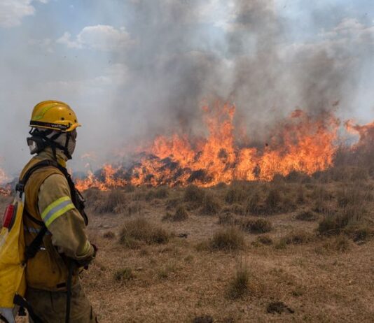 Incendios en Corrientes: en la UNNE se reciben donaciones para bomberos