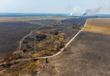 ENTREVISTA AL PRESIDENTE DE CONFEDERACIONES RURALES ARGENTINAS «Los incendios tendrán un impacto en los precios en pocos meses»