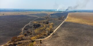 ENTREVISTA AL PRESIDENTE DE CONFEDERACIONES RURALES ARGENTINAS «Los incendios tendrán un impacto en los precios en pocos meses»