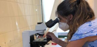 DÍA DE LA MUJER Y LA NIÑA EN LA CIENCIA Investigación en la UNNE: más de la mitad son mujeres que hoy celebran su día