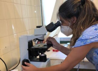 DÍA DE LA MUJER Y LA NIÑA EN LA CIENCIA Investigación en la UNNE: más de la mitad son mujeres que hoy celebran su día