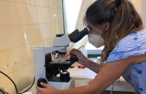 La doctora en Biología, especialista en Cyanobacteria, docente e investigadora de la Universidad Nacional del Nordeste, Marina Forastier trabajó en el análisis de las muestras tomadas en el Río Negro.