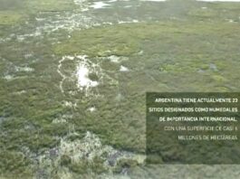 Humedales: cómo lograr el manejo sustentable de uno de los ecosistemas más amenazados del planeta