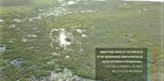 2 de febrero - Día Mundial de los Humedales Humedales: cómo lograr el manejo sustentable de uno de los ecosistemas más amenazados del planeta