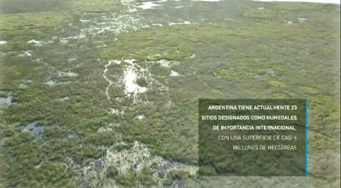 2 de febrero - Día Mundial de los Humedales Humedales: cómo lograr el manejo sustentable de uno de los ecosistemas más amenazados del planeta