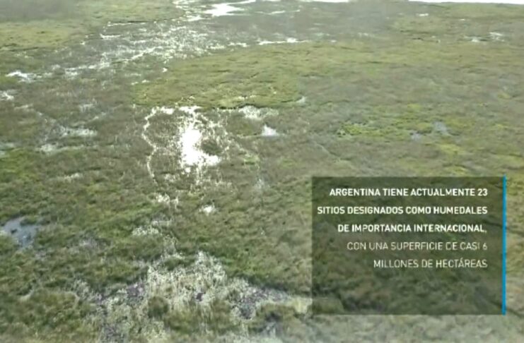 Humedales: cómo lograr el manejo sustentable de uno de los ecosistemas más amenazados del planeta