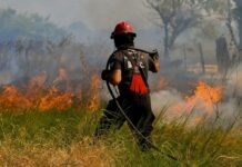 REALIDAD CLIMÁTICA REGIONAL Olas de calor e incendios: especialista alerta que son fenómenos que “llegaron para quedarse” y resulta clave la responsabilidad ciudadana En Corrientes se registró la mayor cantidad de incendios de la región, en las últimas semanas.