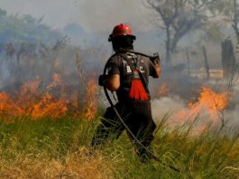Olas de calor e incendios: especialista alerta que son fenómenos que “llegaron para quedarse” y resulta clave la responsabilidad ciudadana En Corrientes se registró la mayor cantidad de incendios de la región, en las últimas semanas.
