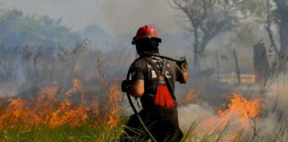 REALIDAD CLIMÁTICA REGIONAL Olas de calor e incendios: especialista alerta que son fenómenos que “llegaron para quedarse” y resulta clave la responsabilidad ciudadana En Corrientes se registró la mayor cantidad de incendios de la región, en las últimas semanas.