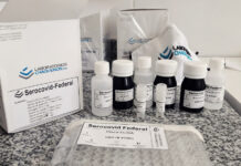 ESTUDIO DEL CONICET Y EL INTA Desarrollan kit para detectar anticuerpos contra el coronavirus en animales