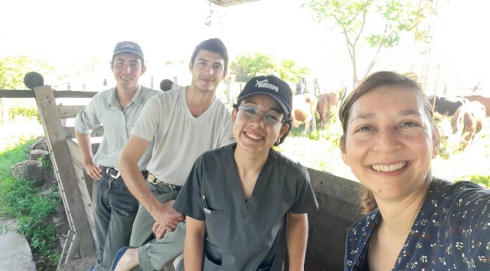 EL IMPACTO DE LA PANDEMIA EN EL MUNDO Con participación de la UNNE, realizan encuesta mundial sobre los impactos del Coronavirus en el bienestar social