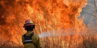 LICENCIADA EN CIENCIAS BIOLÓGICAS, MARIA DEL ROSARIO MONTIEL “Estamos viviendo en carne propia los efectos del cambio climático”