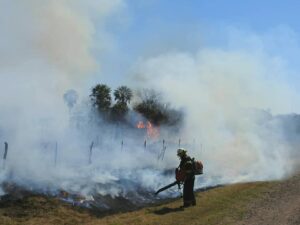 Entre agosto y octubre de 2020, un voraz incendio provocó la pérdida del 90% del Parque Provincial San Cayetano en Riachuelo, Corrientes.