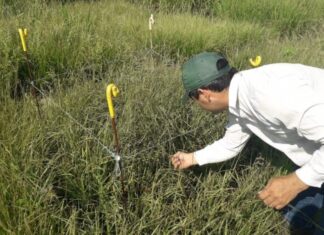 La UNNE cuenta con más de 400 proyectos de investigación vigentes