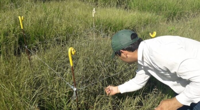 La UNNE cuenta con más de 400 proyectos de investigación vigentes