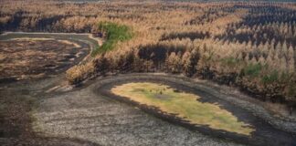 Sequía: la superficie cubierta por agua en Corrientes estaría por debajo del 10% respecto al 40% habitual