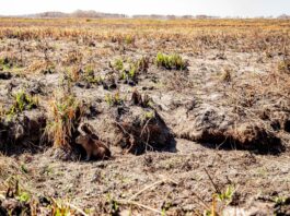 «Tenemos que pensar en que el clima y la forma de producir no van a ser los mismos»