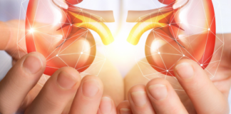 DÍA MUNDIAL DEL RIÑÓN Desde la UNNE se trabaja para “cerrar la brecha del conocimiento” en pos de una mejor atención de la enfermedad renal