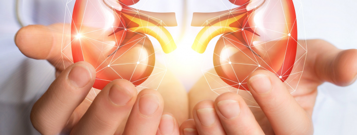 DÍA MUNDIAL DEL RIÑÓN Desde la UNNE se trabaja para “cerrar la brecha del conocimiento” en pos de una mejor atención de la enfermedad renal