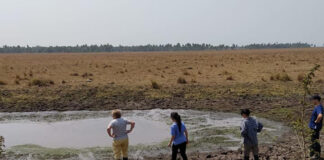 Tras los incendios, se mantiene la problemática de animales silvestres afectados por déficit hídrico