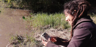 MICAELA CAMINO TRABAJA EN LA PRESERVACIÓN DEL PECARÍ QUIMILERO Investigadora de la UNNE nominada al Oscar Verde: «Si logramos conservar al pecarí quimilero es porque logramos conservar estos bosques» Micaela Camino forma parte del equipo del Laboratorio de Biología de la Conservación del CECOAL.