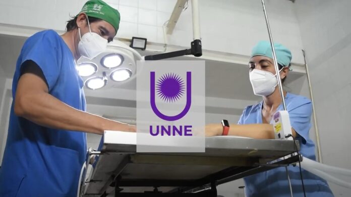 Asistencia de la Facultad de Veterinaria a animales afectados por los incendios