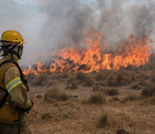 Afirman que la situación de los incendios es menos desfavorable pero se acentuó la falta de agua