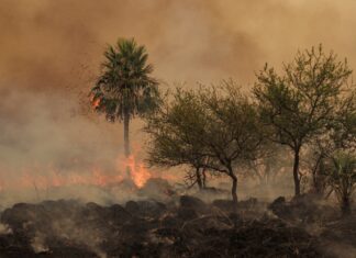 La UNNE dispone línea de subsidio especial para investigaciones sobre sequía e incendios en Corrientes