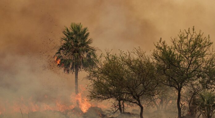 La UNNE dispone línea de subsidio especial para investigaciones sobre sequía e incendios en Corrientes