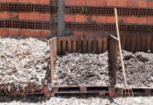 CUIDADO AMBIENTAL Mes del compostaje: recomendaciones de una especialista