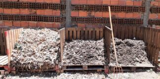 CUIDADO AMBIENTAL Mes del compostaje: recomendaciones de una especialista