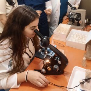 Estudiantes investigando