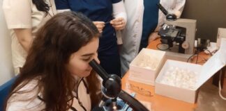 Medicina: Posgrado, Ciencia y Tecnología cierra un 2025 marcado por el impulso a la investigación traslacional