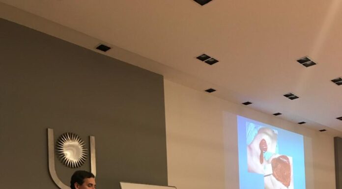 RECONOCIMIENTO INTERNACIONAL Revista Internacional destaca investigación de Medicina sobre la vascularización de los nervios periféricos