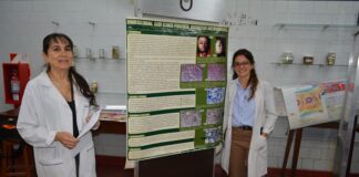 Medicina se prepara para la Noche de Museo: una mirada al mundo interno universitario